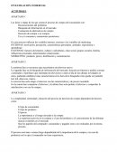 INVESTIGACIÓN COMERCIAL ACTIVIDAD 1