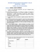 CURSO: SALUD OCUPACIONAL