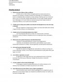 Práctica tema 5 Diferencias entre líderes civiles y militares