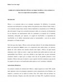 Relaciones socio-politico economicas de Mexico y Japon