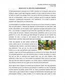 ENSAYO DE “EL ARCA DE LA BIODIVERSIDAD”