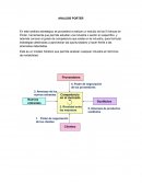 Análisis Porter. Complejo turístico puerto varas