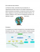 Dia mundial del medio ambiente