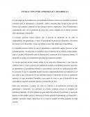 Interaccion entre desarrollo y aprendizaje