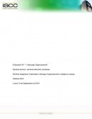 Semana 1 liderazgo organizacional y trabajo en equipo iacc