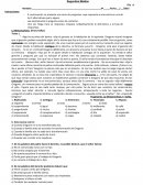 PRUEBA DE LECTURA “La Metamorfosis” y “Misa de Réquiem”