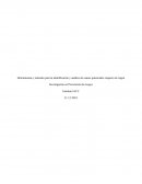 Herramientas y métodos para la identificación y análisis de causas potenciales respecto al origen
