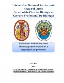 Evaluación de la eficiencia de Pestalotiopsis microspora en la degradación de polietileno