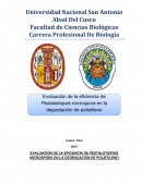 Evaluación de la eficiencia de Pestalotiopsis microspora en la degradación de polietileno