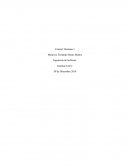 Ingeniería de Software . Control