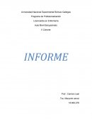 Paradigma Socio-Critico Cualitativo