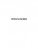 ORGANISMOS EN LA PREVENCIÓN DE RIESGOS