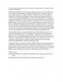 Analisis multicriterio de RNR