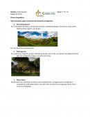 Planos fotográficos. Tipos de planos según la situación del elemento protagonista