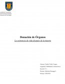 Donación de Órganos. La existencia de vida después de la muerte