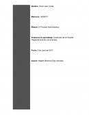 Diagnóstico interno de la escuela “Dos Mundos”