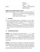 DEMANDA DE REPOSICION POR DESPIDO INCAUSADO