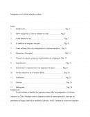 Inmigrantes en el sistema educativo chileno