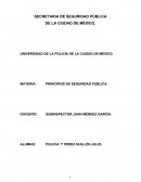Principios de la Seguridad Pública