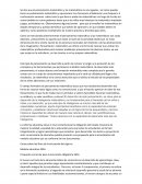 Matematicas. Propuesta curricular para la educación obligatoria