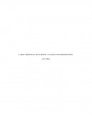 CARACTERÍSTICAS, FUNCIONES Y CANALES DE DISTRIBUCIÓN