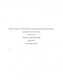 Sistema de transporte vertical de materiales: sistemas de grúas de brazo fijo, grúas pórticos, grúas puente, grúas mono y birriel