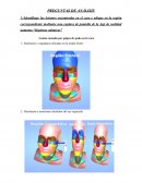 Medicina legal. PREGUNTAS DE ANÁLISIS