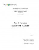 Plan de mercadeo executive market