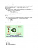 Que es la economia. Leyes de oferta y demanda