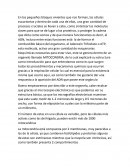 La Mitocondria. ADN