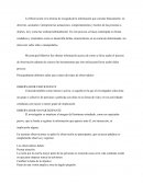 Observaciones escuelas