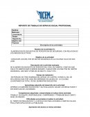 ELABORACION DE ENCUESTAS DE PERCEPCION DE SEGURIDAD