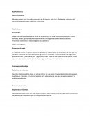 Emprendimiento Key Partheners