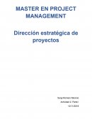 Direcció estratégica- Actividad 2 CASO STEVENS