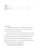 Quimica experimento