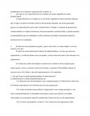 Fundamentos de la estructura organizacional, Capítulo 14