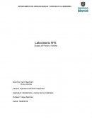 Laboratorio flexion y pandeo