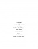 Normas jurídicas y su estructura