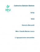 Agrupaciones mercantiles. Modelo de negocio