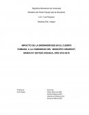 IMPACTO DE LA BROMHIDROSIS EN EL CUERPO HUMANO, A LA COMUNIDAD DEL MUNICIPIO GIRARDOT, MARACAY ESTADO ARAGUA, AÑO 2018-2019