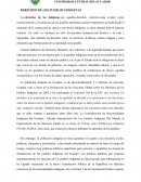 DERECHOS DE LOS PUEBLOS INDIGENAS