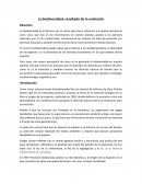 La biodiversidad, resultado de la evolución