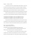 Planificación La empresa Enzo Acosta SAC