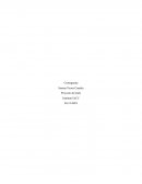 Importancia de la capacitación en un puesto de trabajo