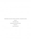 El administrador en prevención, sus funciones e instrumentos, y el desarrollo de una cultura preventiva