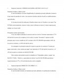 Empresa Comercial: COMERCIALIZADORA ARTURO CALLE S.A.S