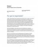 Metodologia general ajustada