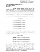 JUICIO DE TRAMITACION ESPECIAL