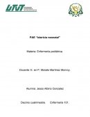 PAE “Ictericia neonatal”