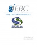 PRACTICAS PROFESIONALES contabilidad